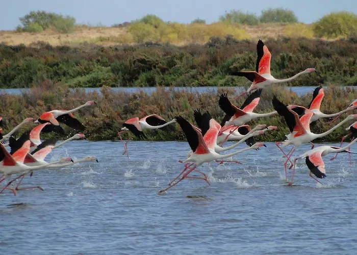 アパート Vista カバナス・デ・タビラ